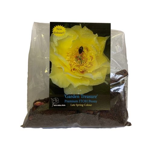 Yarra Valley Bulbs Peony Garden Treasure - 1 Bulb - Bunnings Australia