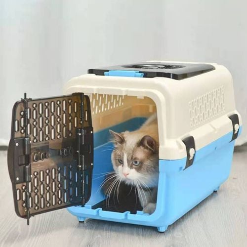 Cat carrier outlet bunnings