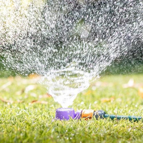 Holman 12mm Purple Dome Hose Sprinkler Bunnings Australia