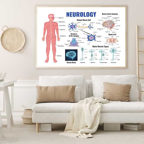 Neurology Parts of Human Body Print 100% Australian Made 120x90cm ...