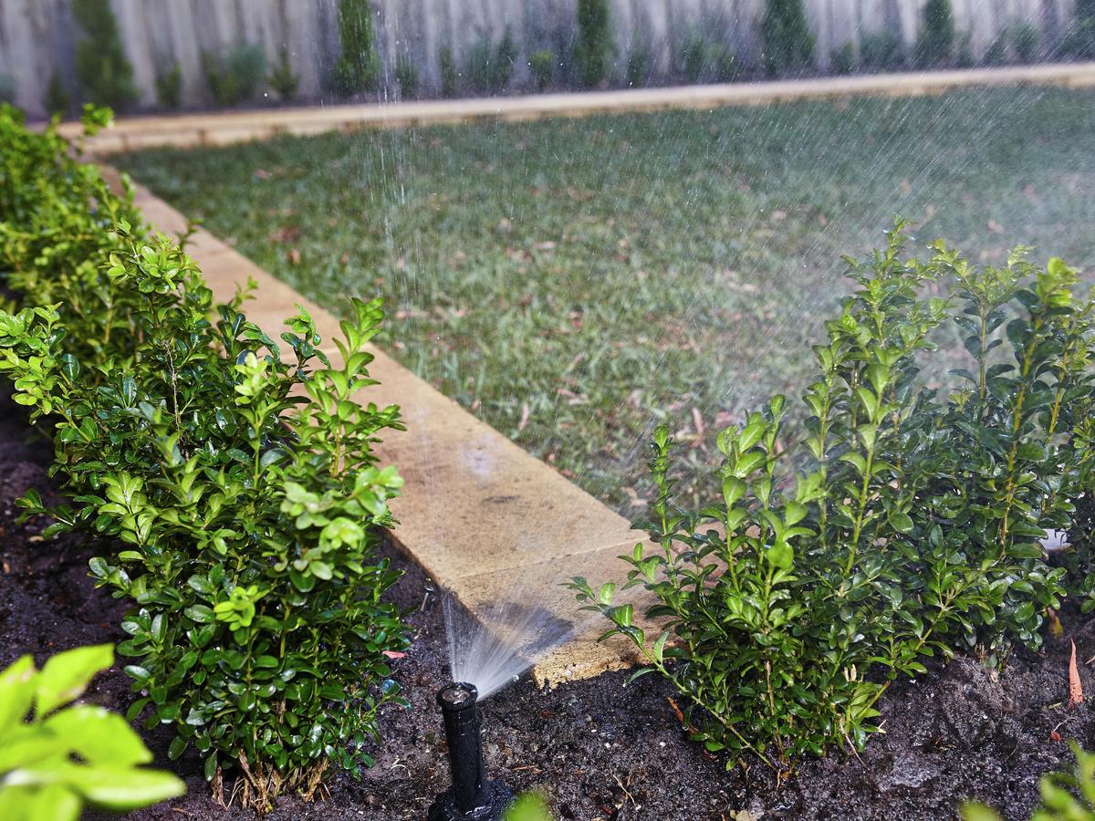 How To Plan a Garden Irrigation System - Bunnings New Zealand