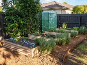 How To Choose The Right Outdoor Heater With Heatstrip - Bunnings Australia