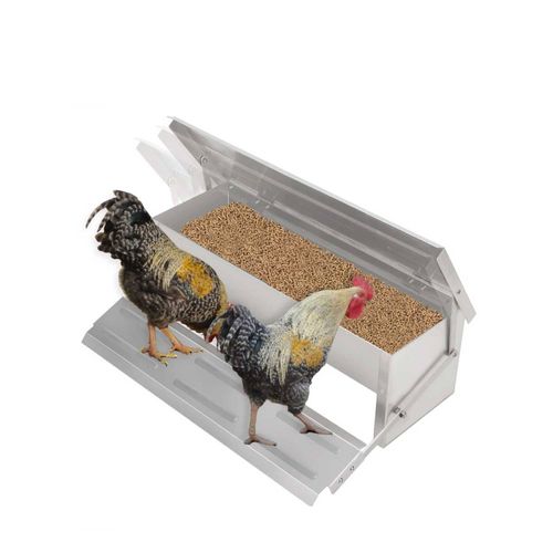 11L Automatic Chook Chicken Feeder Poultry Auto Treadle Aluminium Metal ...