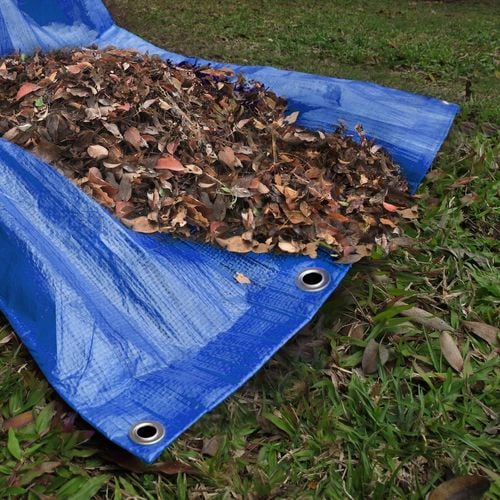 Saxon 2 x 2.5m 70gsm Tarpaulin Bunnings Australia