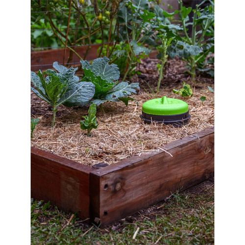 Tumbleweed Worm Buffet In Ground Worm Farm - Bunnings Australia