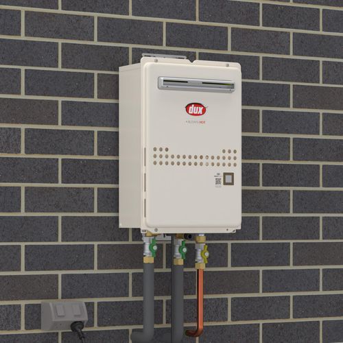Dux 26L/min Non-Condensing Continuous Flow Water Heater - 50° Natural Gas -  Bunnings Australia