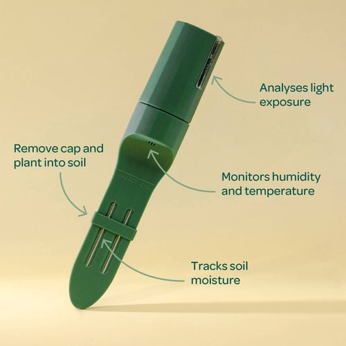Willow Smart Indoor Plant Sensor Plant Parent Pack Charcoal - Bunnings ...