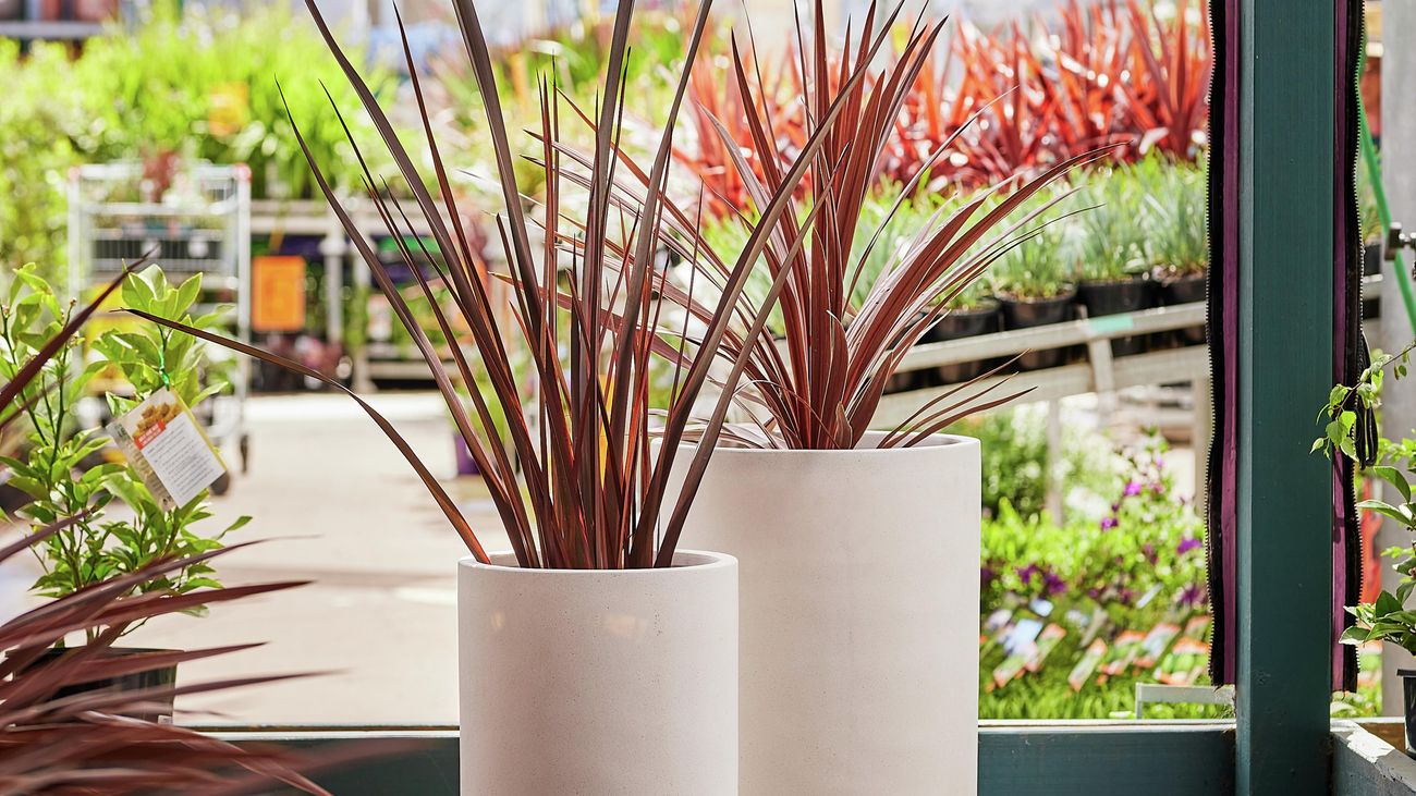 Scotts Osmocote's Guide To Giving Your Plants The Best Pot - Bunnings ...