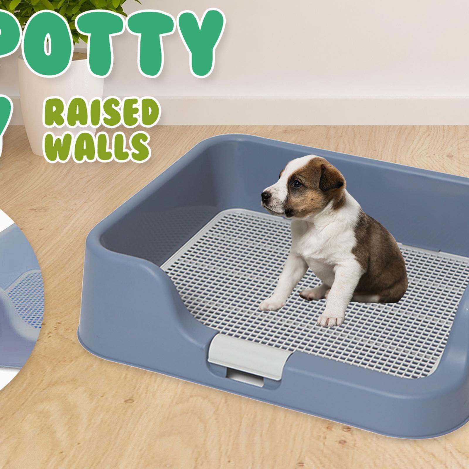 PS KOREA Blue Dog Pet Potty Tray Training Toilet Raised Walls T1 ...