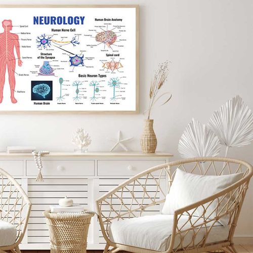 Neurology Parts of Human Body Print 100% Australian Made 120x90cm ...
