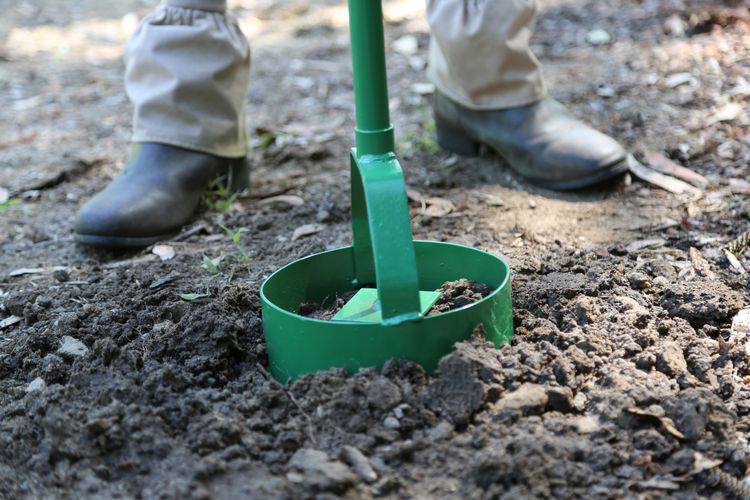 Cyclone Garden Tools - Bunnings New Zealand