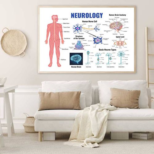 Neurology Parts of Human Body Print 100% Australian Made 90x60cm ...