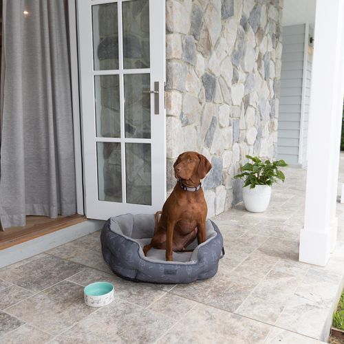 Baxter Bone Charcoal Green Thumb Print Pet Shell Bed - Large - Bunnings ...
