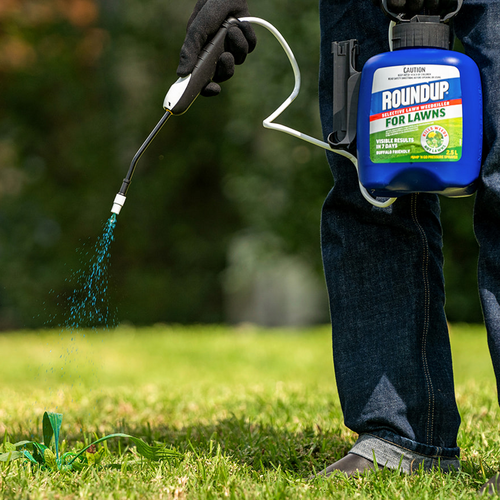 Gas Weed Killer Bunnings: Effective Solution for Professional Landscaping