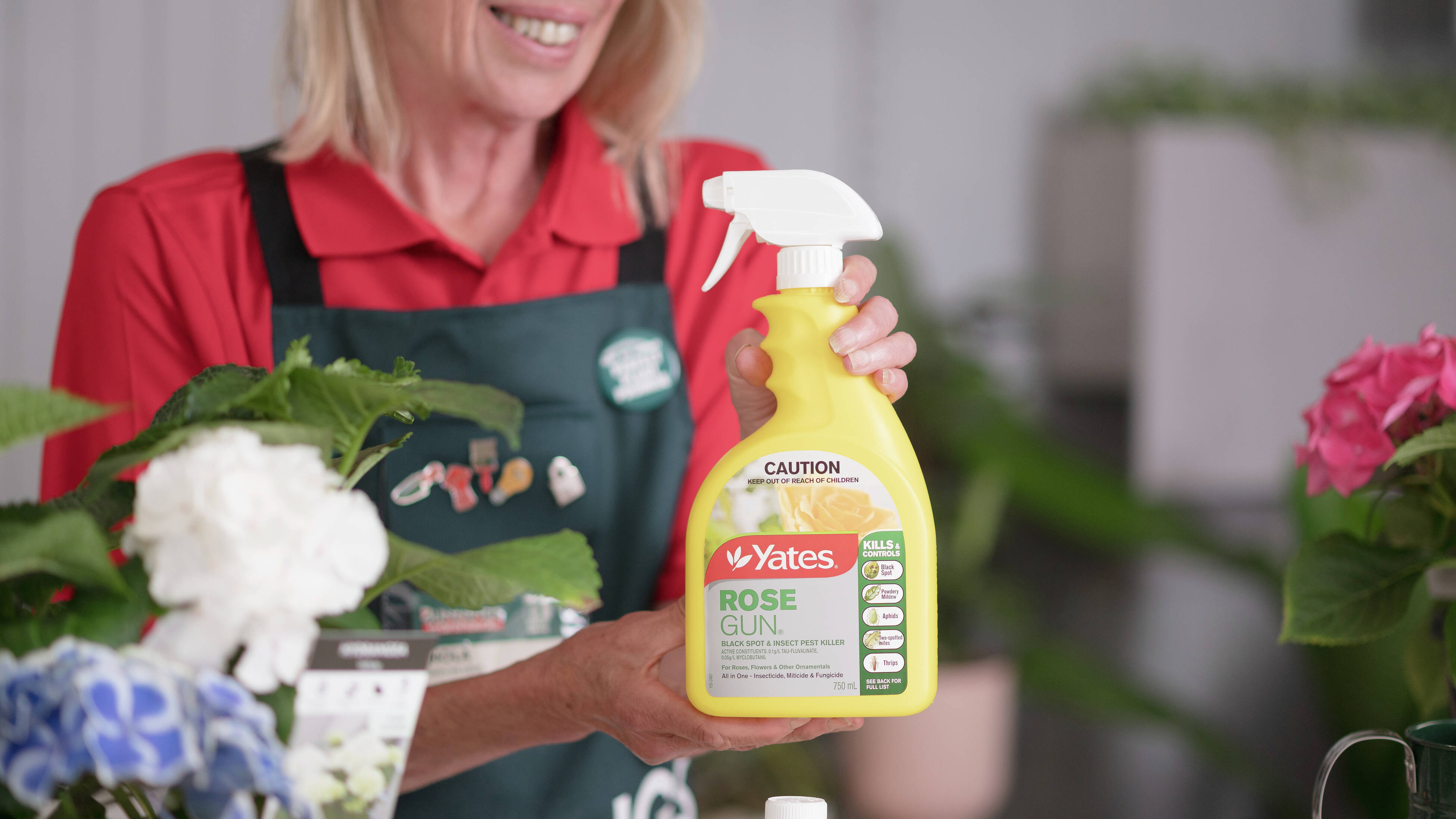 How To Maintain Healthy Hydrangeas - Bunnings Australia