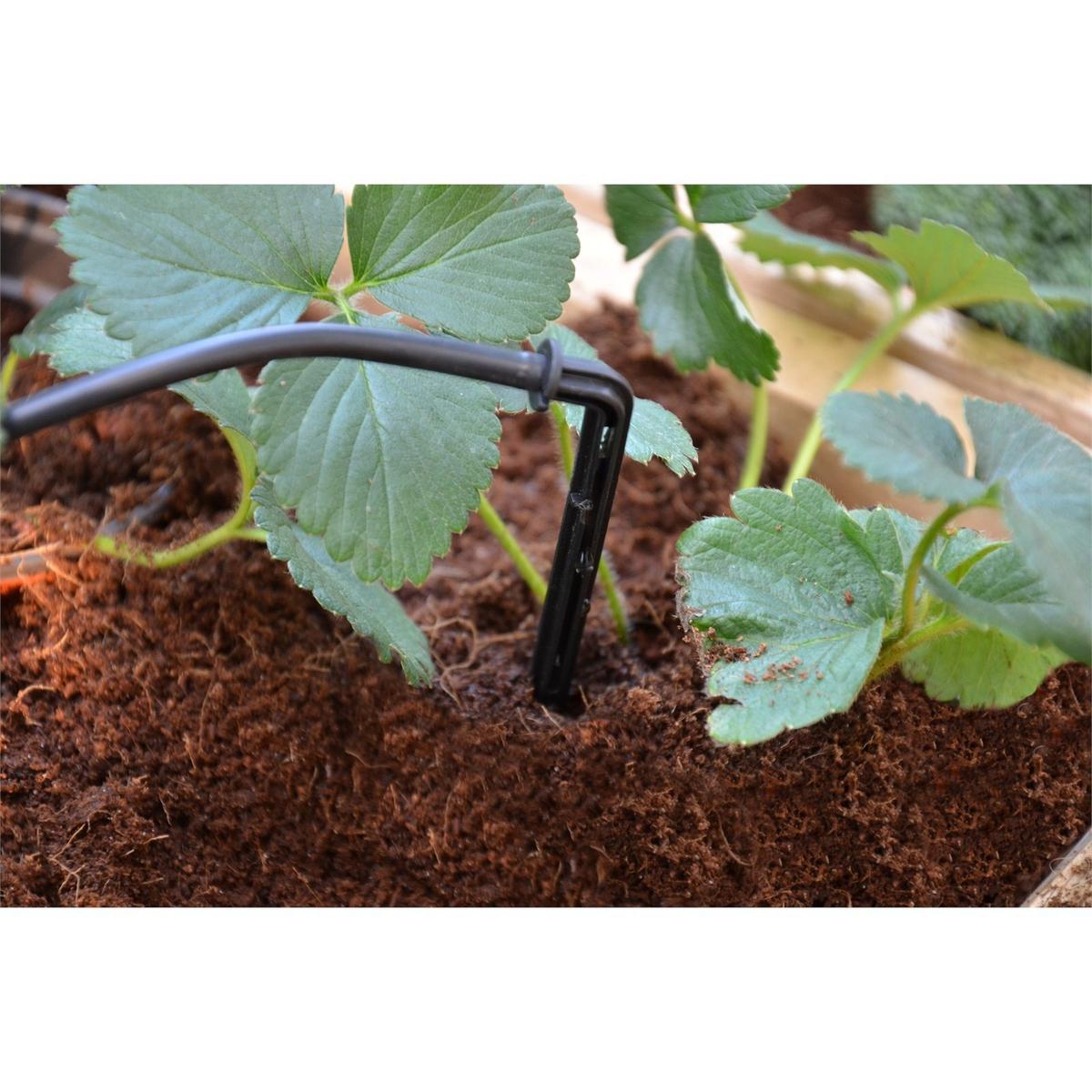 Maze Greenhouse Drip Kit - Bunnings Australia